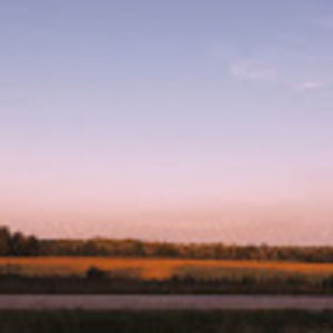 Meet your Posher, Nina